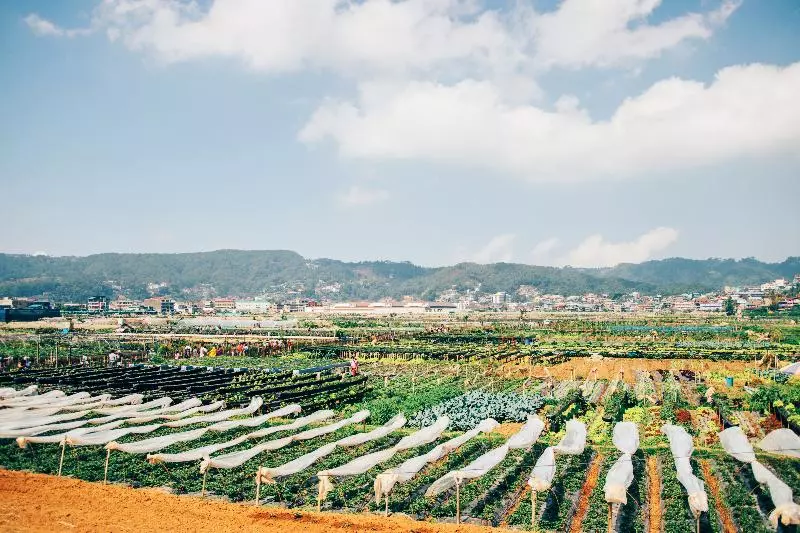 Fotos del hotel Azalea Hotels & Residences Baguio:  17