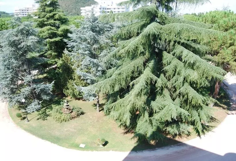 Fotos del hotel Terme Imperial:  7