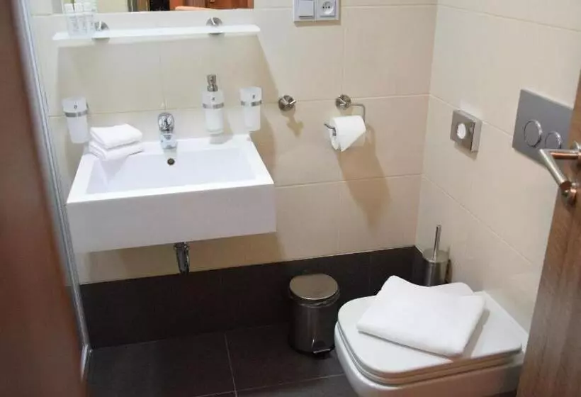 Fotos del hotel Prague Star:  8