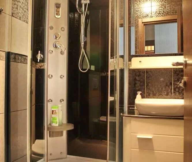 Fotos del hotel Vila Terazije:  12