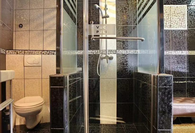 Fotos del hotel Vila Terazije:  6