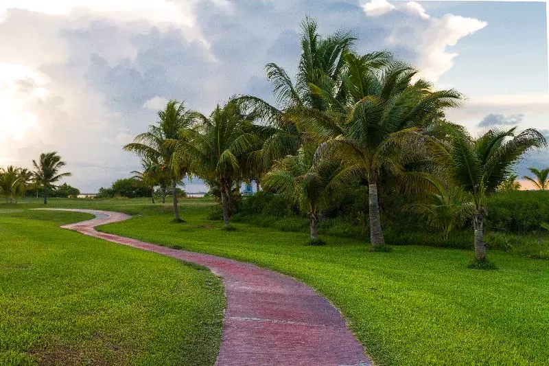 Fotos del hotel Las Gaviotas  & Suites:  14