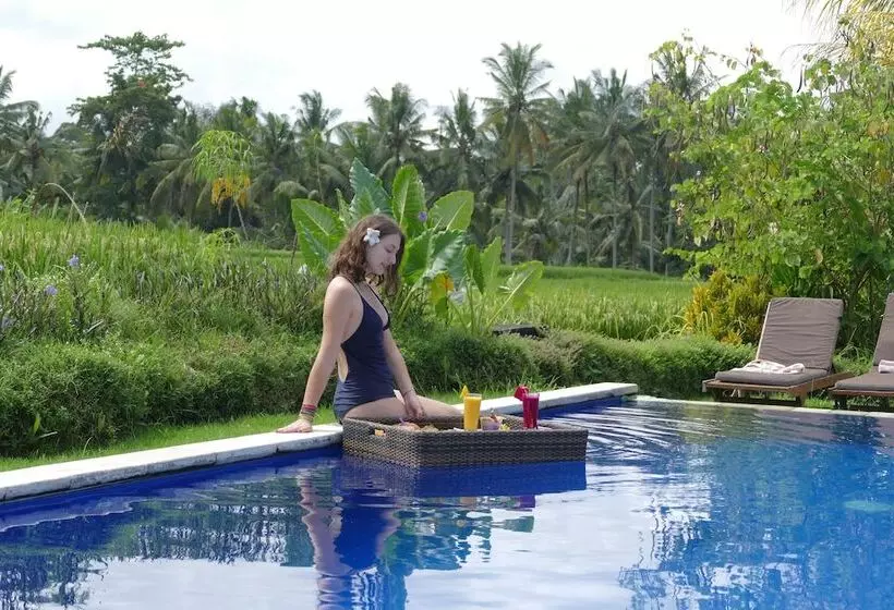 Fotos del hotel The Samara Villas & Restaurant:  7