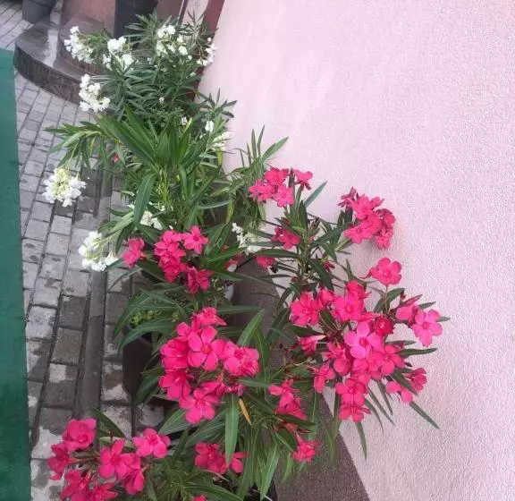 Fotos del hotel Villa Milka:  5