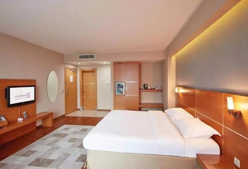 Fotos del hotel Anemon Cigli:  22