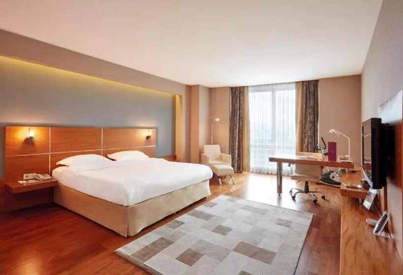 Fotos del hotel Anemon Cigli:  9