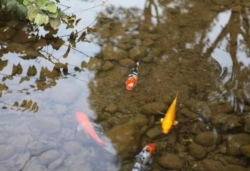 Fotos del hotel Guilinyi Royal Palace:  5