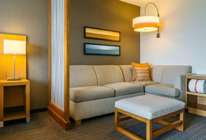 Fotos del hotel Hyatt Place Los Cabos:  25