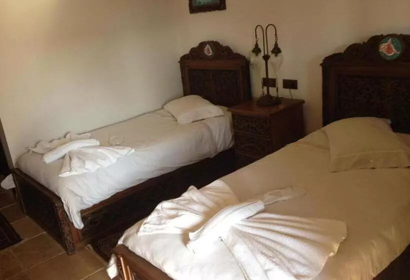 Fotos del hotel Nilya:  15