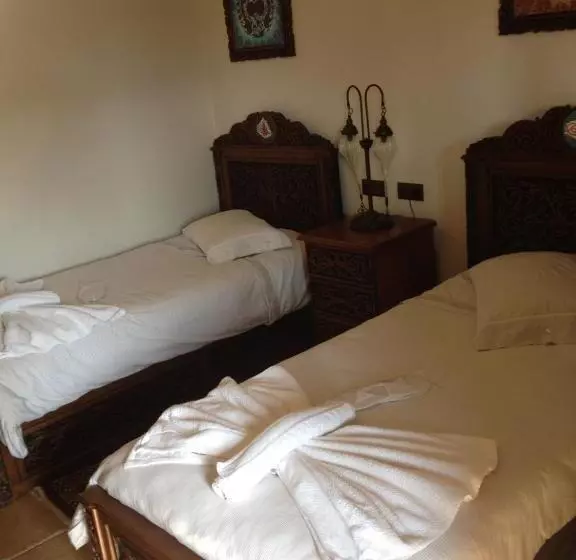 Fotos del hotel Nilya:  9