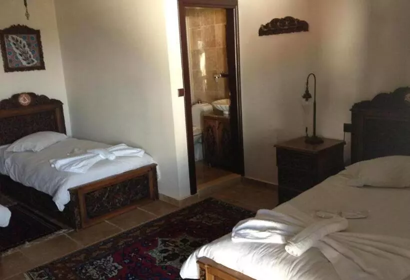 Fotos del hotel Nilya:  7