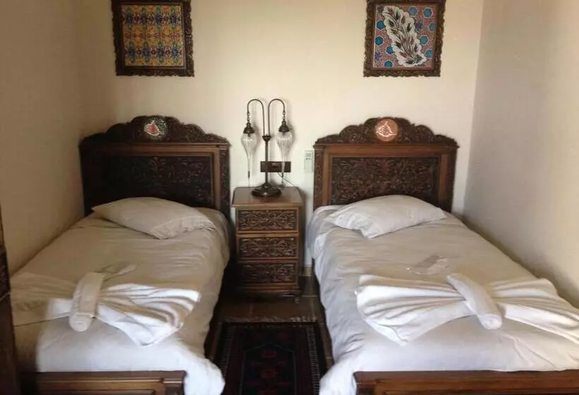 Fotos del hotel Nilya:  3