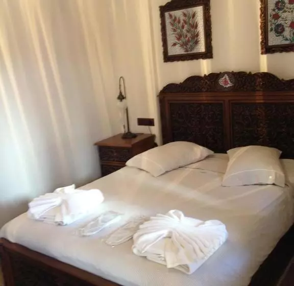 Fotos del hotel Nilya:  5