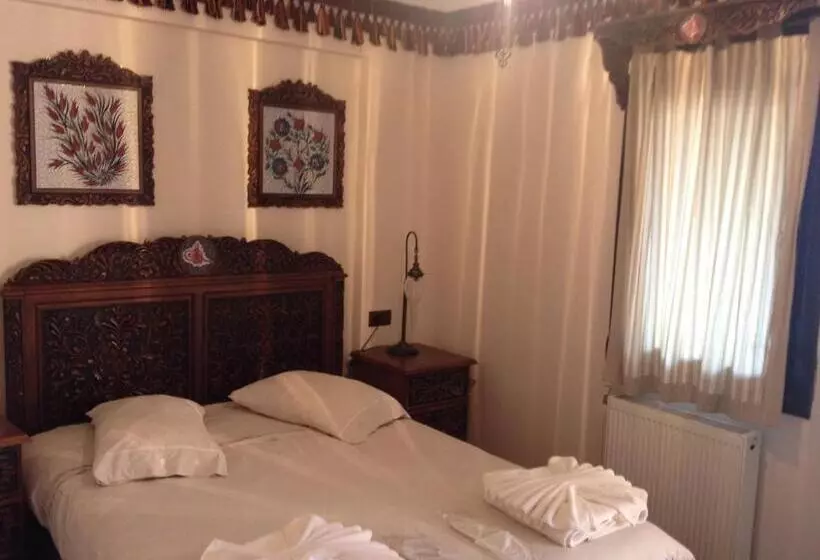 Fotos del hotel Nilya:  11