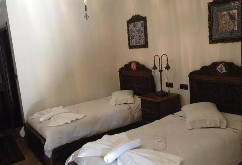 Fotos del hotel Nilya:  16