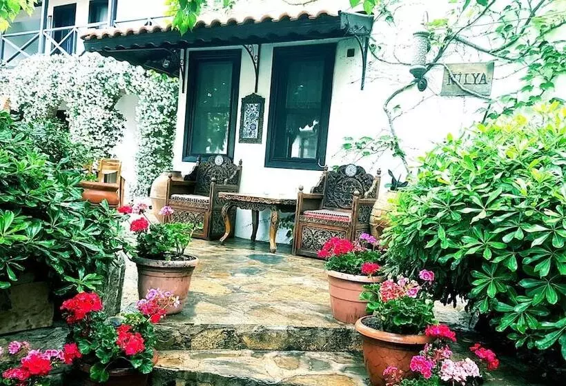 Fotos del hotel Nilya:  2