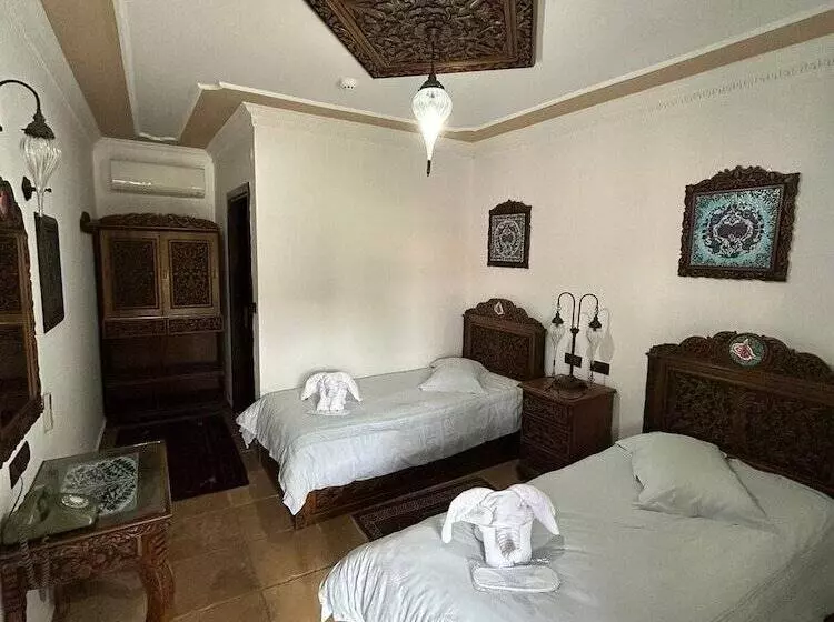 Fotos del hotel Nilya:  19