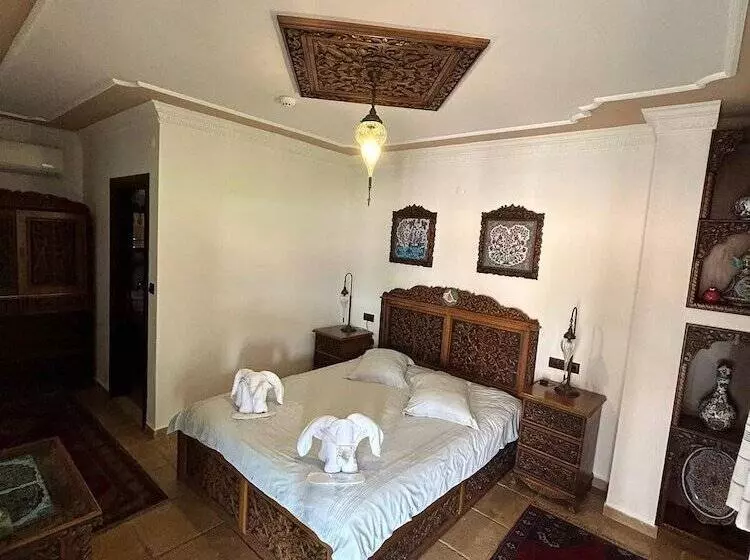 Fotos del hotel Nilya:  22