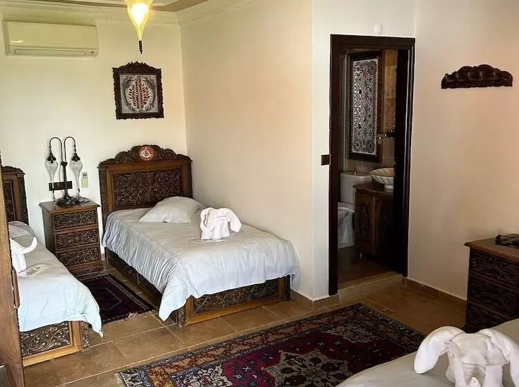 Fotos del hotel Nilya:  18