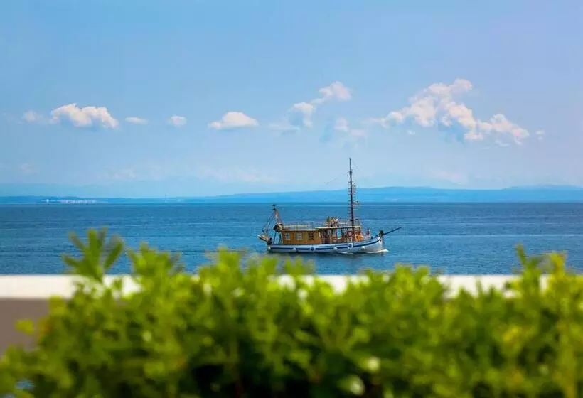 Fotos del hotel Villa Amalia:  23