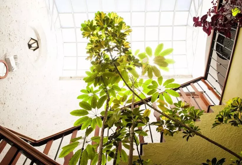 Fotos del hotel La Hostería Boutique:  7