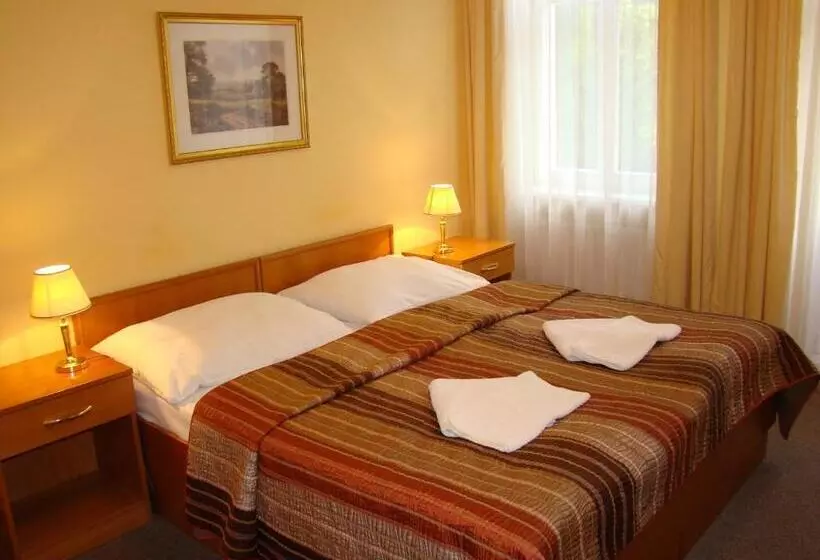 Fotos del hotel Saint Petersburg:  10