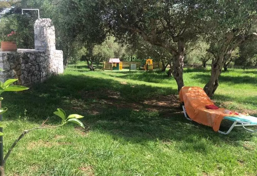 Fotos del hotel Vardis Olive Garden:  12