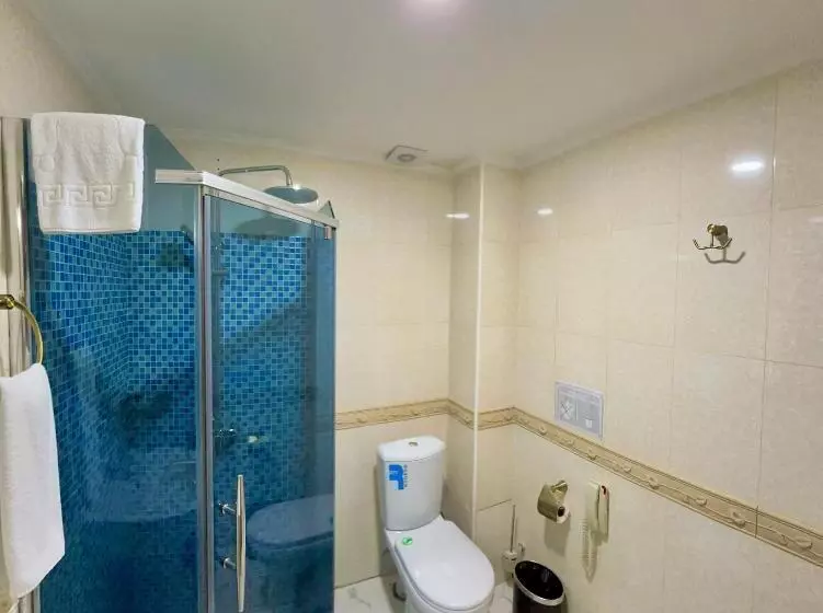 Fotos del hotel Hayot:  8