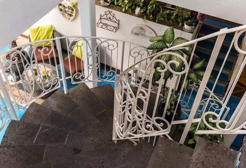 Fotos del hotel Le Juliette Dodu:  25