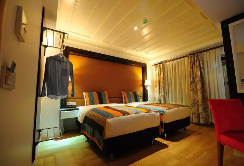 Fotos del hotel Ottopera:  11