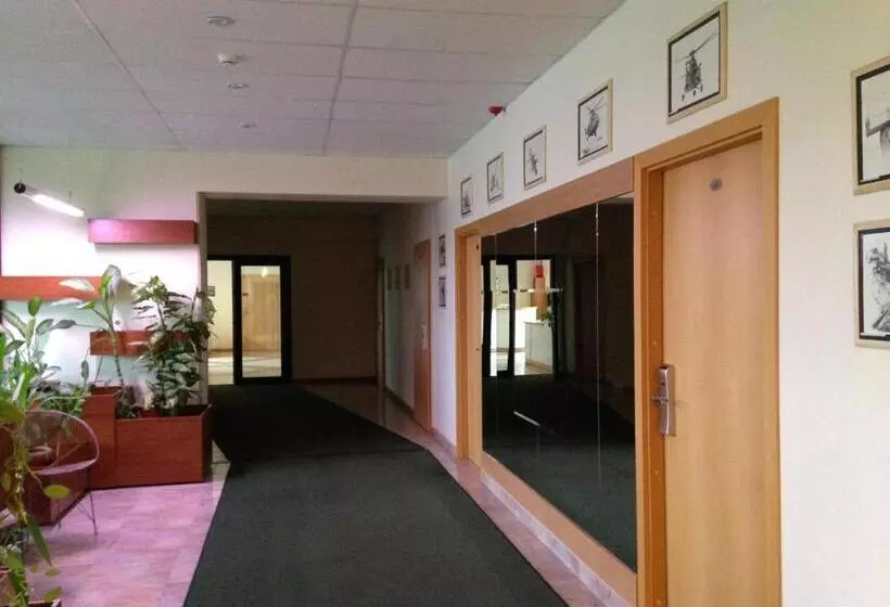 Fotos del hotel Sky High  Airport 200 Meters From The Terminal:  11