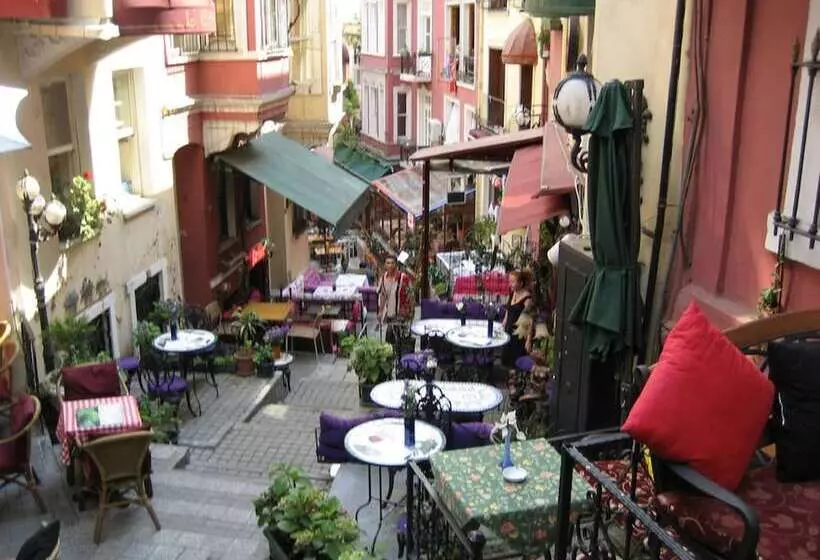 Fotos del hotel Jakaranda:  4