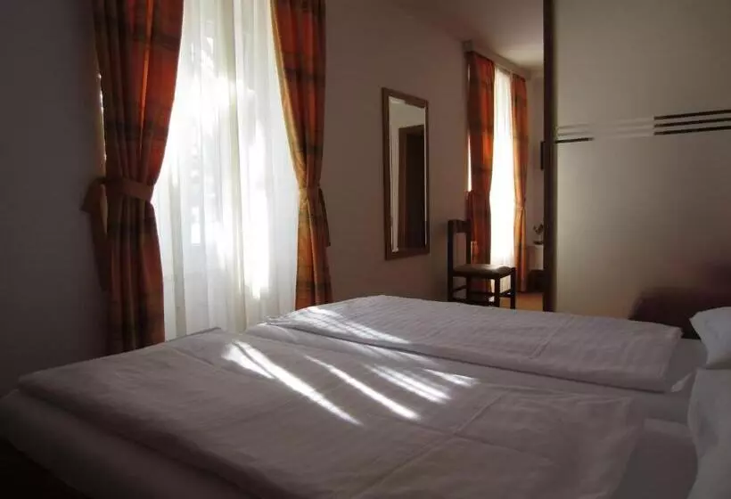 Fotos del hotel Concordia:  7