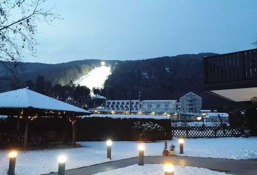 Fotos del hotel Boutique  Pohorje:  17