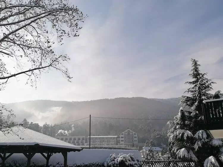 Fotos del hotel Boutique  Pohorje:  19