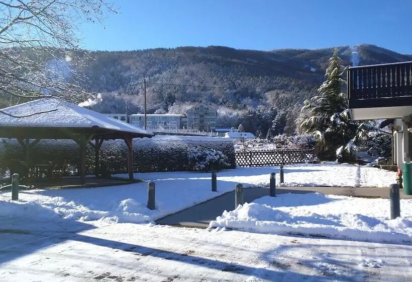 Fotos del hotel Boutique  Pohorje:  22