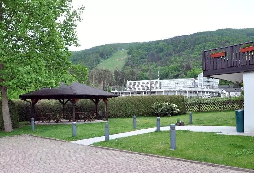 Fotos del hotel Boutique  Pohorje:  16
