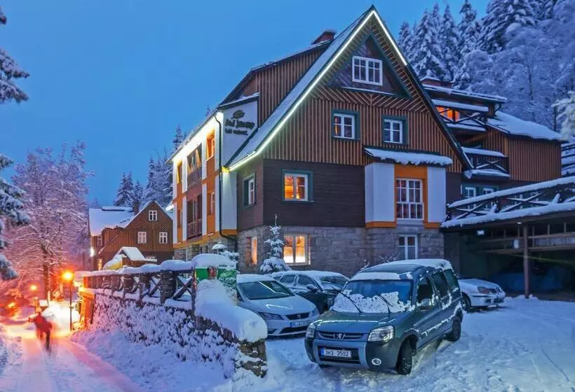 Fotos del hotel Pod Jasany:  12