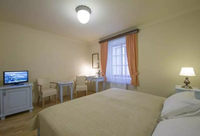 Fotos del hotel Cerny Slon:  5