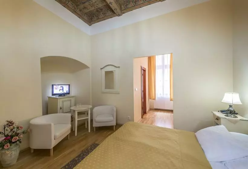 Fotos del hotel Cerny Slon:  22