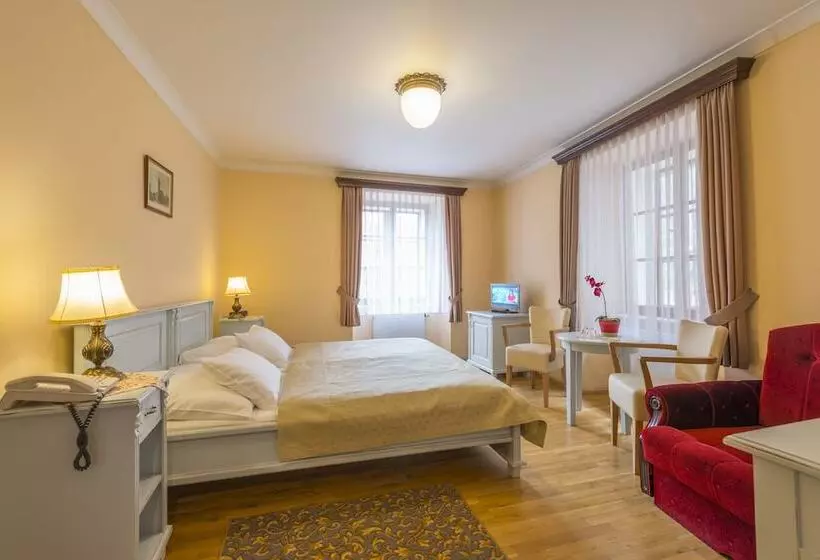 Fotos del hotel Cerny Slon:  15