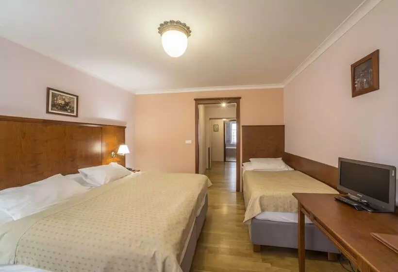 Fotos del hotel Cerny Slon:  7