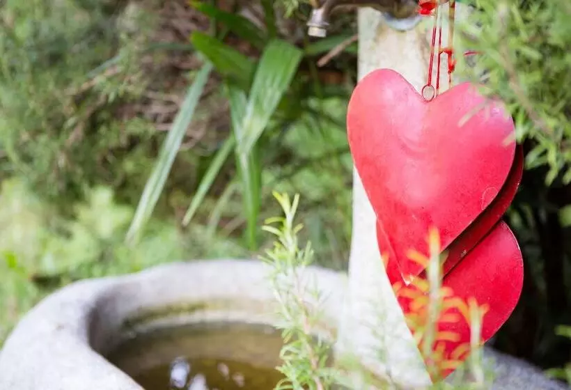 Fotos del hotel Gruberhof:  6