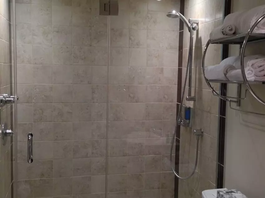 Fotos del hotel Le Vincent:  19