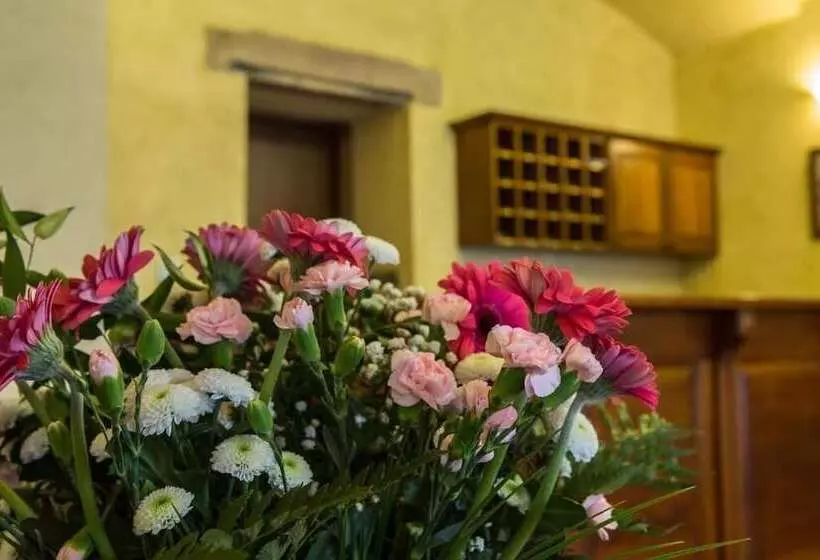 Fotos del hotel Rous:  15