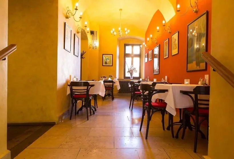 Fotos del hotel Rous:  4