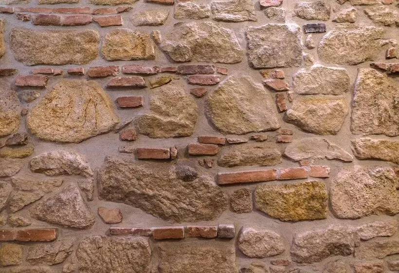 Fotos del hotel Rous:  20