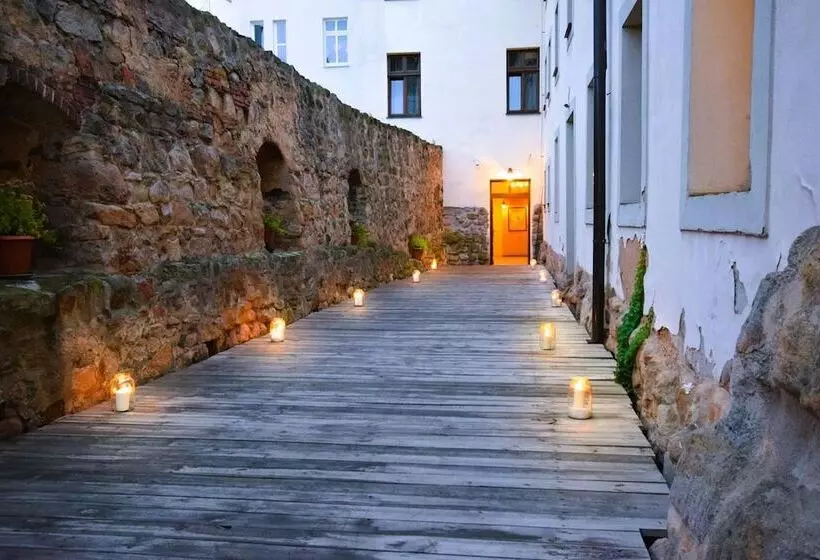 Fotos del hotel Rous:  13