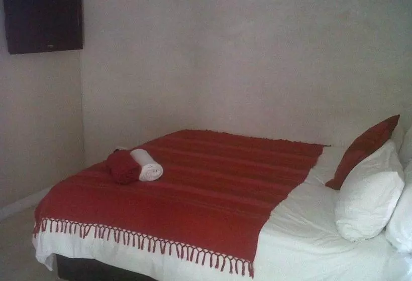 Fotos del hotel Kings In Cape:  14