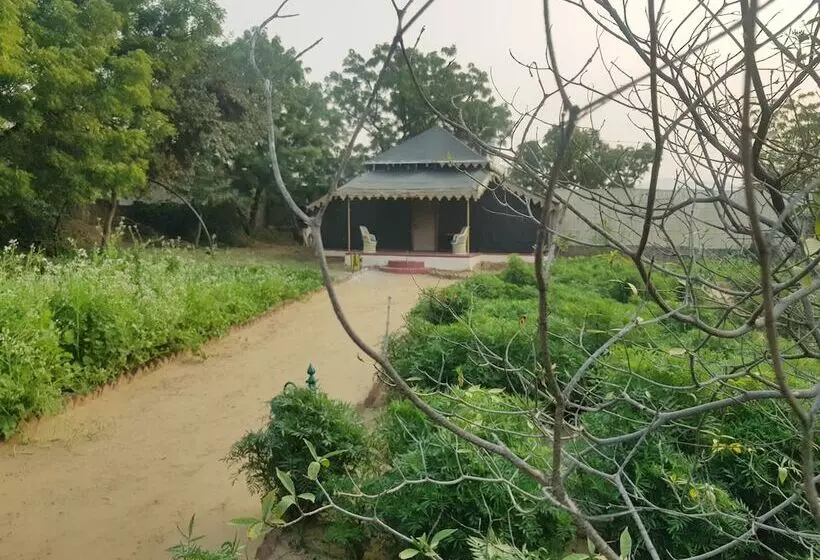 Fotos del hotel Orchard Tents & Tranquility Glamping:  10